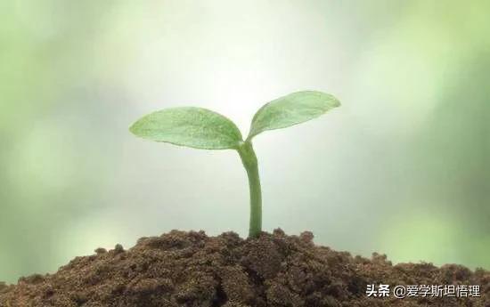腾讯开发哪个app好