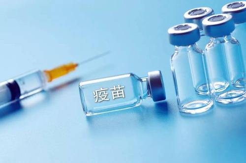大连市防疫什么等级