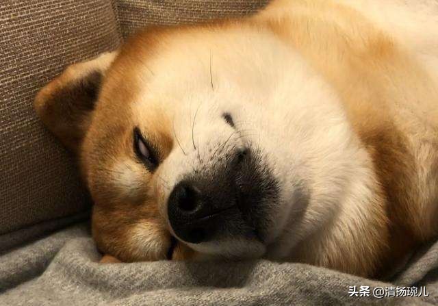美妆好物安利博主

