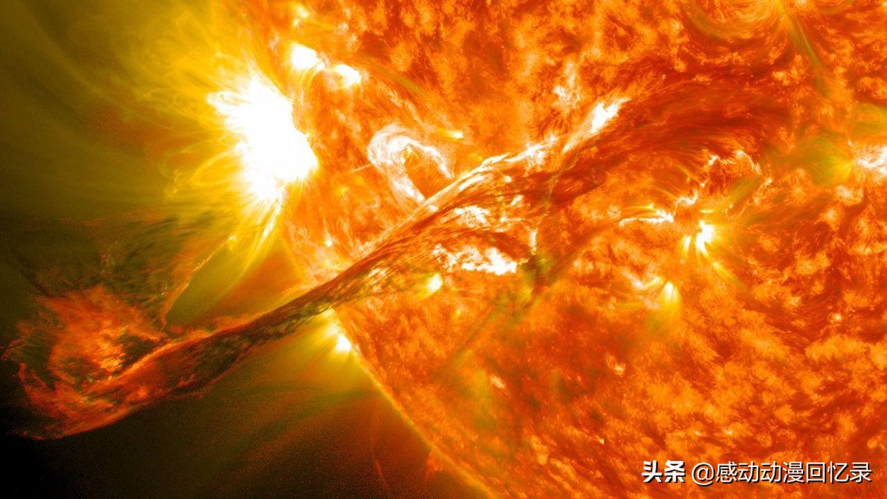太阳对动植物和人类的生活影响？