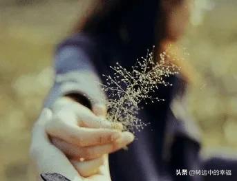 草书硬笔楷书字体教程字帖