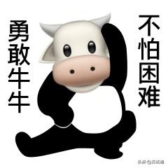 好学的自考专业知识是什么，好学的自考专业知识是什么意思