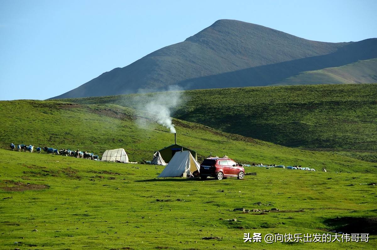 全国旅游保险网，全国旅游保险网官方网站
