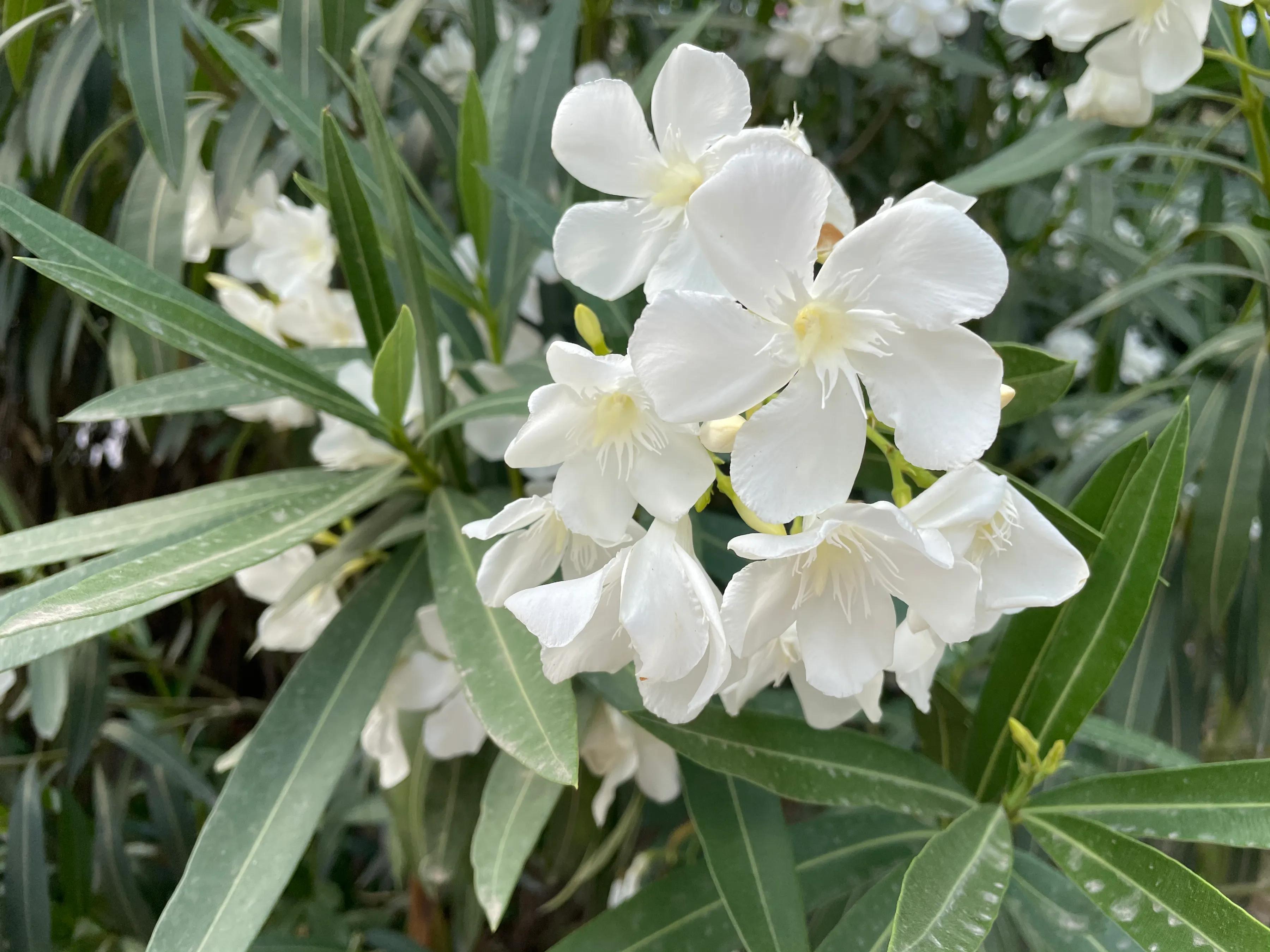 湖北考生作弊内幕曝光，为什么大家会更加愤怒？