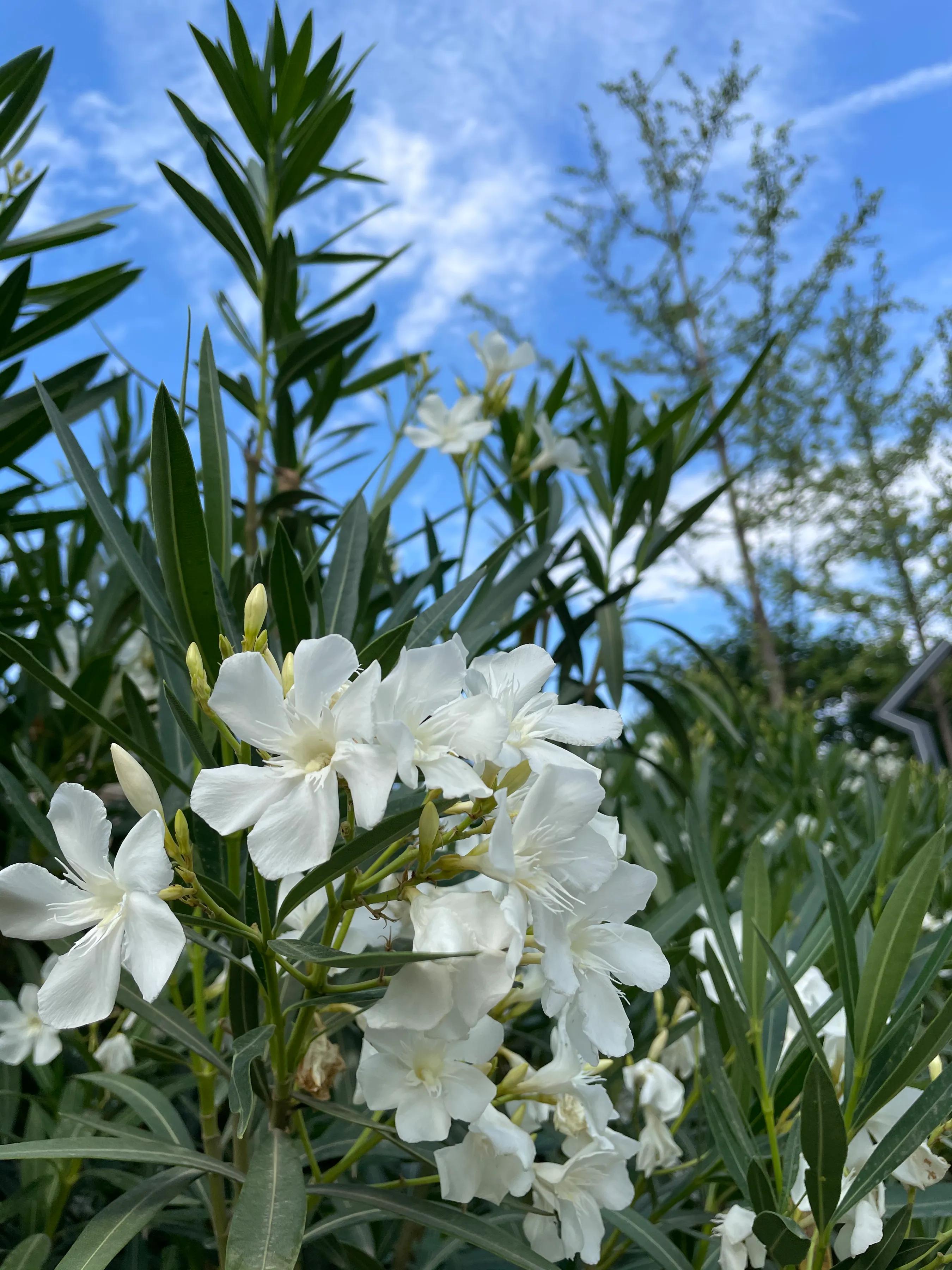 湖北考生作弊内幕曝光,为什么大家会更加愤怒? 湖北考生作弊内幕曝光,为什么大家会更加愤怒?