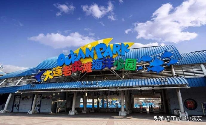 大连市老虎滩事件始末是什么