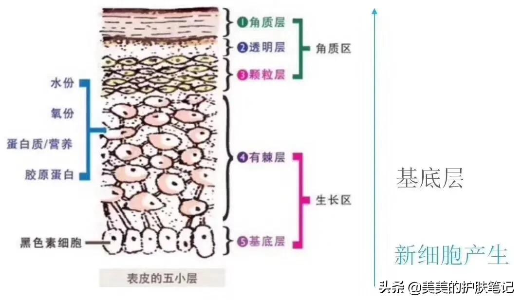 美妆博主推荐好物抗老
