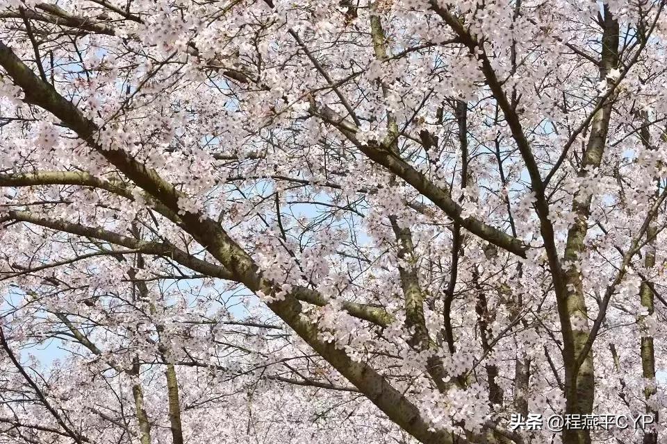 苏州市什么之都 苏州市什么之都