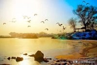 大连市在古代叫什么城市