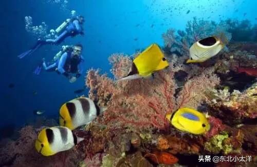 海外生活周末海边，国外海边生活