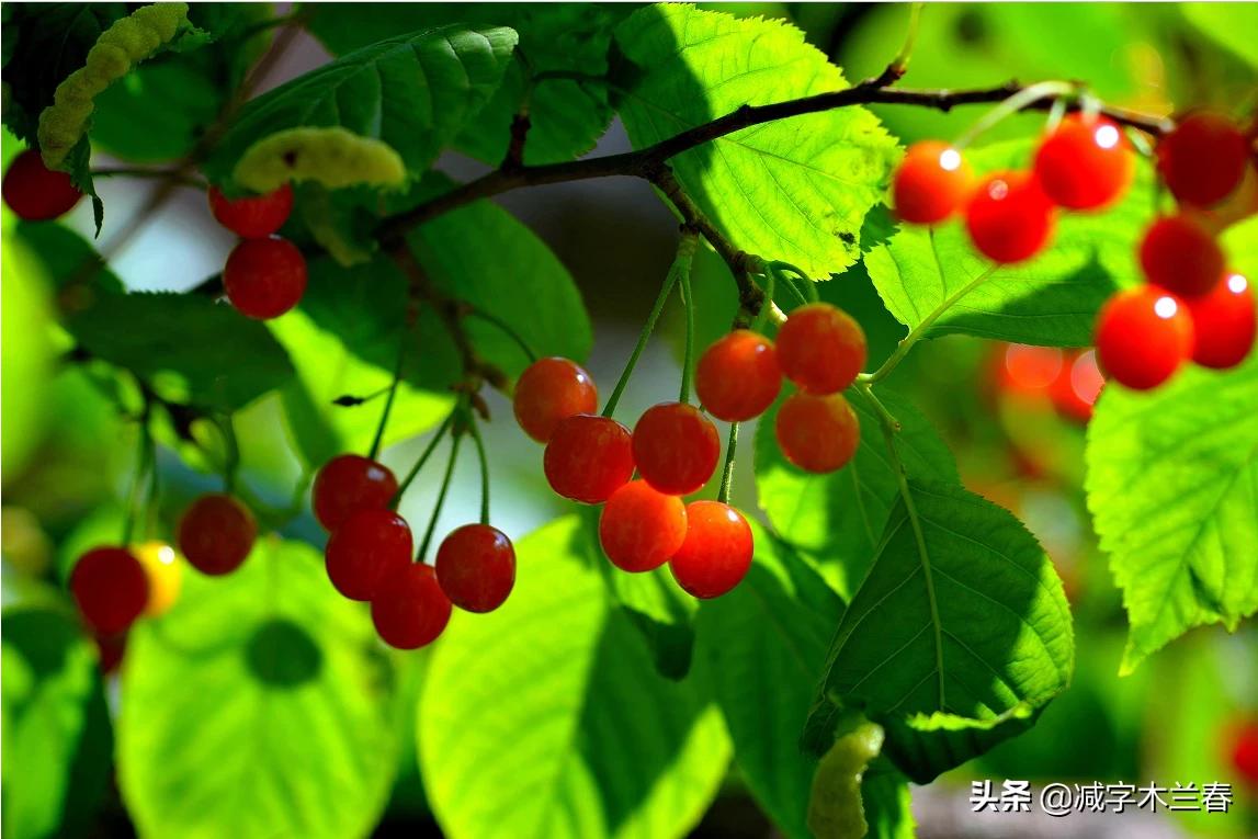 实习生不好好学知识，