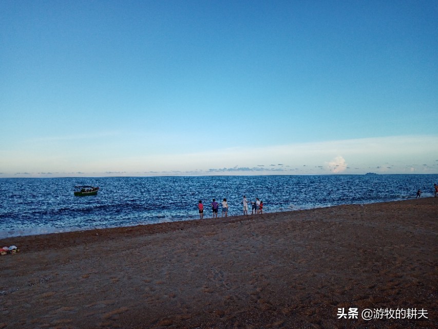 [三亚一酒店虫子成群]三亚酒店出来红色的虫子是什么虫子？