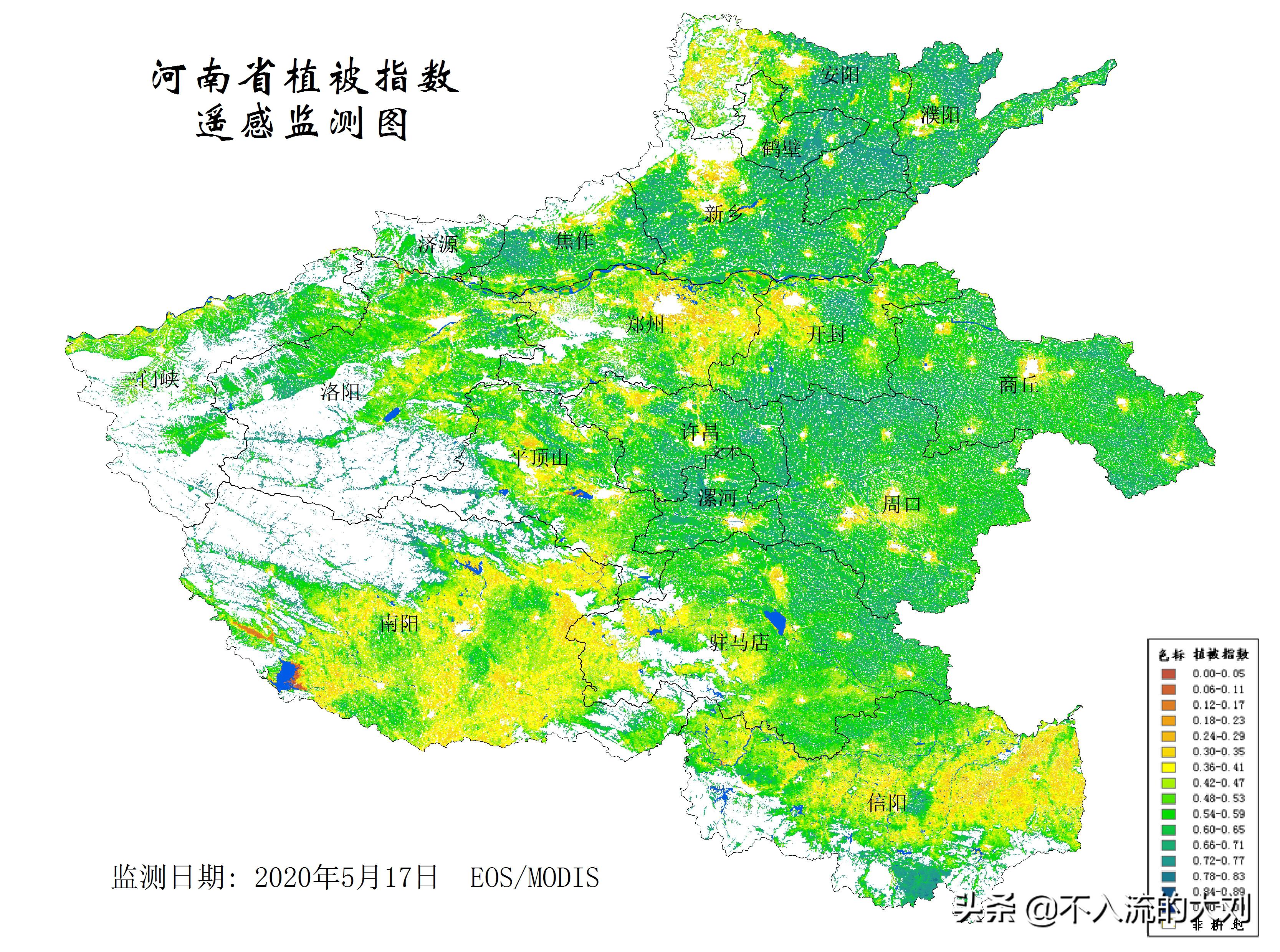 河南老家冬小麦怎么样
