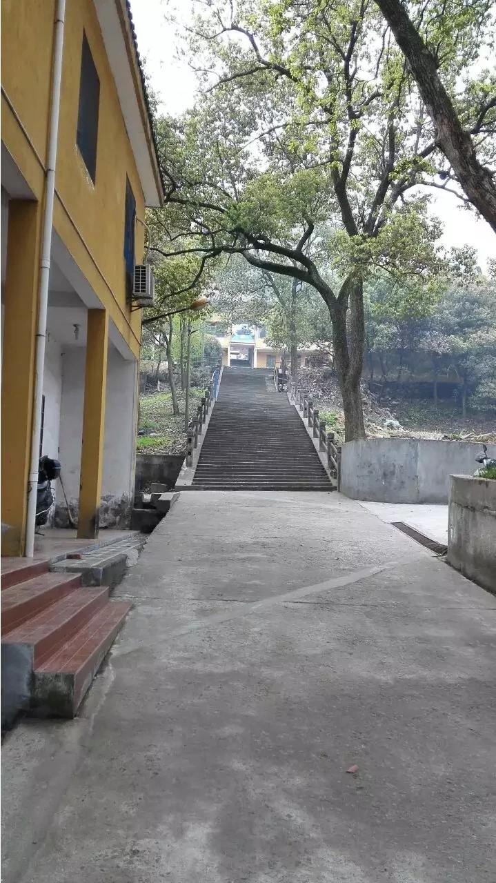 杭州小客车区域指标废弃多久能再申请？