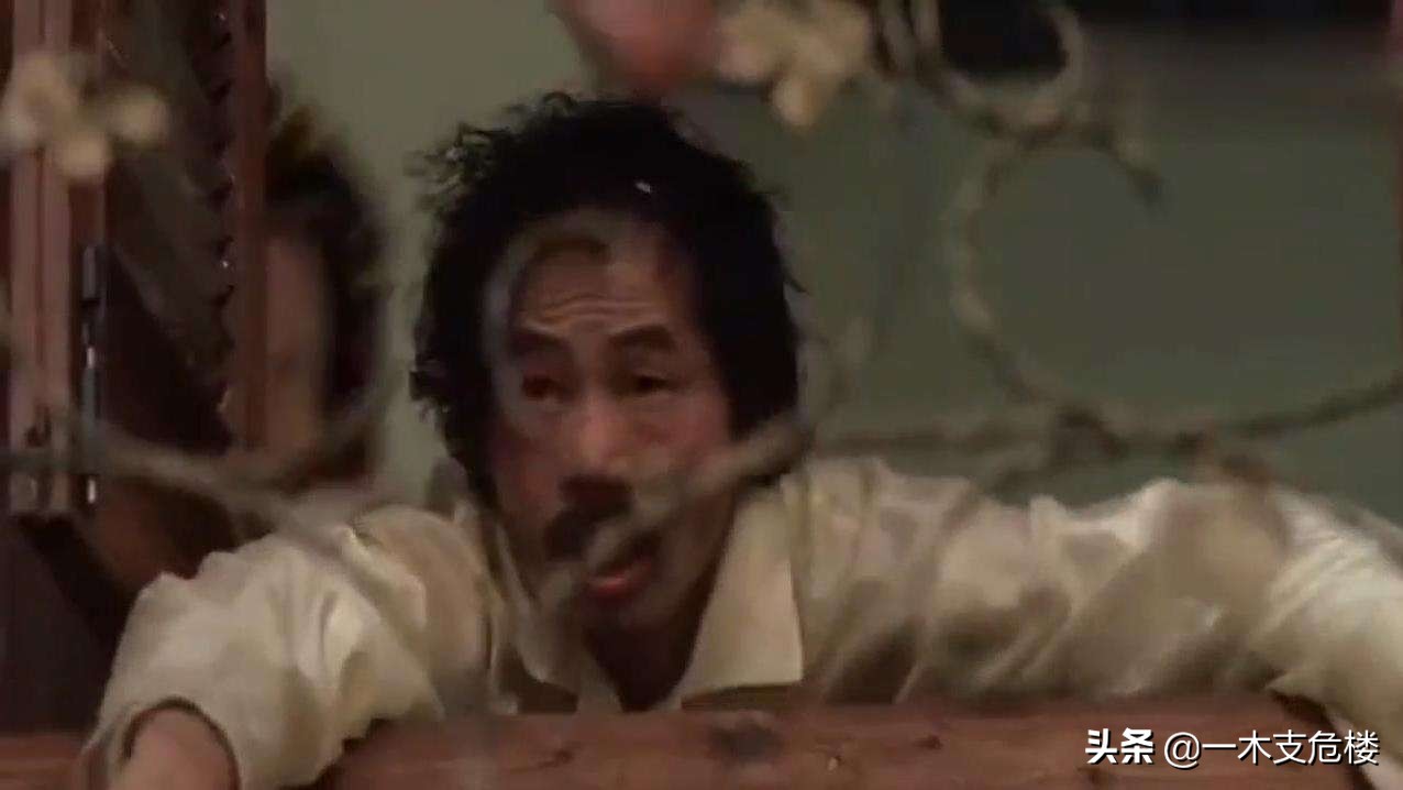 这个明星有点治愈，这个明星有点治愈全文阅读