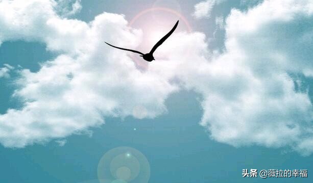 梦想的图片（关于一些追求梦想自由的漫画？）