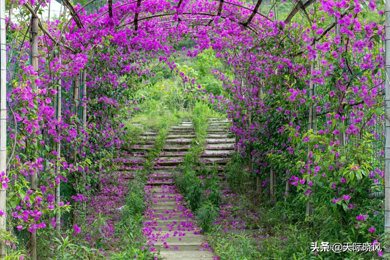 尼康d850(尼康d850深度评测?) 尼康d850(尼康d850深度评测?)