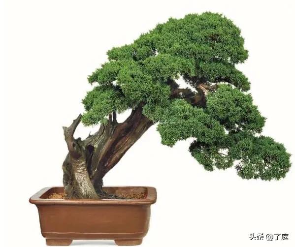 展台搭建网站设计教程视频