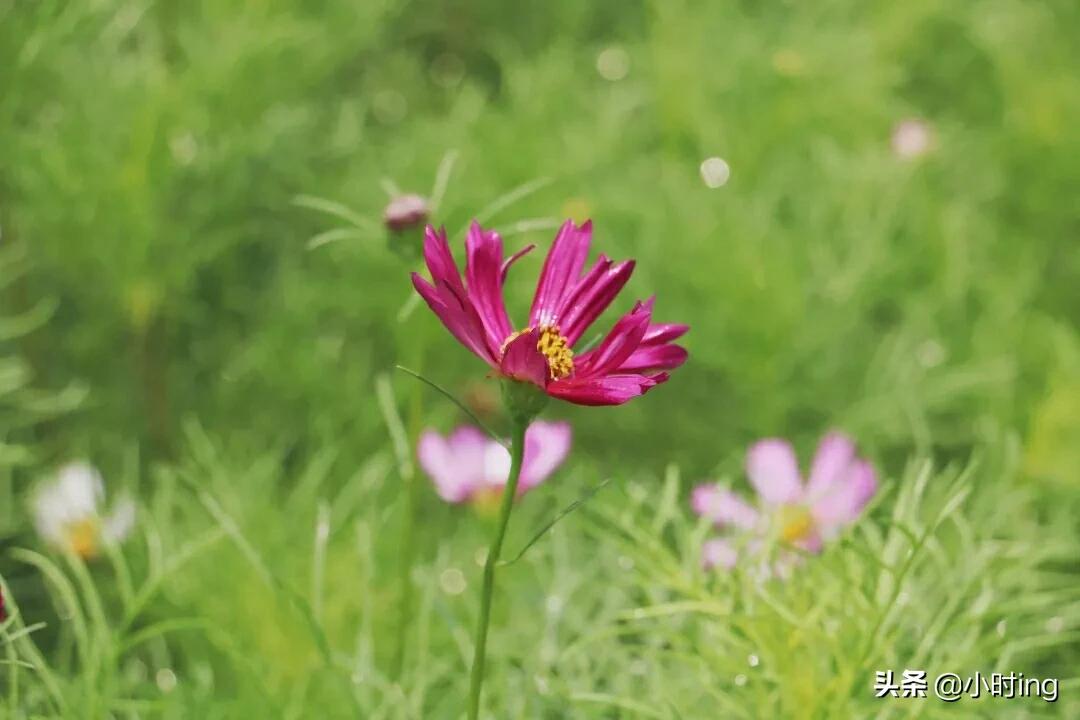 河南新源怎么样