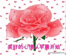 美好汽车报价,美好汽车报价查询