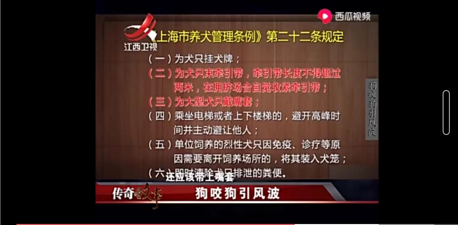 一女童被大型犬咬伤（商洛8岁女童被宠物狗咬伤，官方：积极调查处理，你怎么看？）
