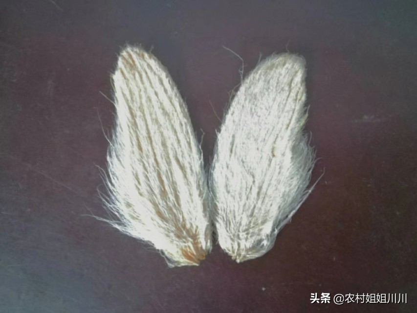 武汉市是什么风险级别