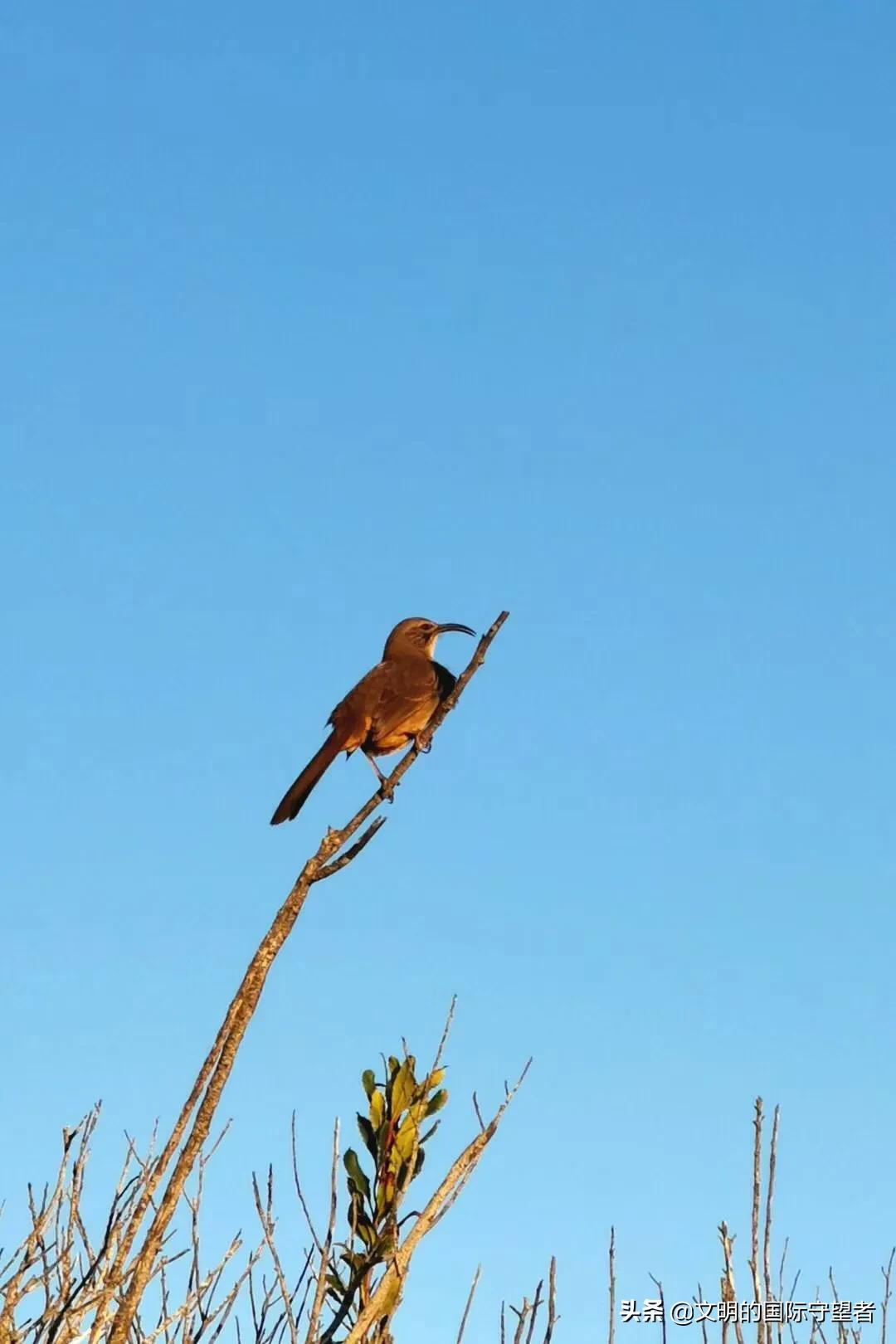 智能图像创作中心网站官网,请问大家写头条都在哪里找的图片呀?