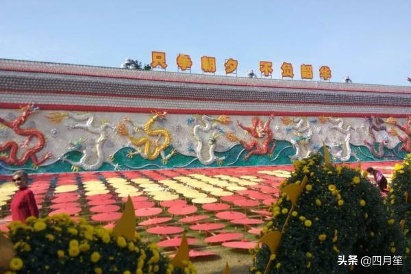 武汉市园博园属于什么区 武汉市园博园属于什么区