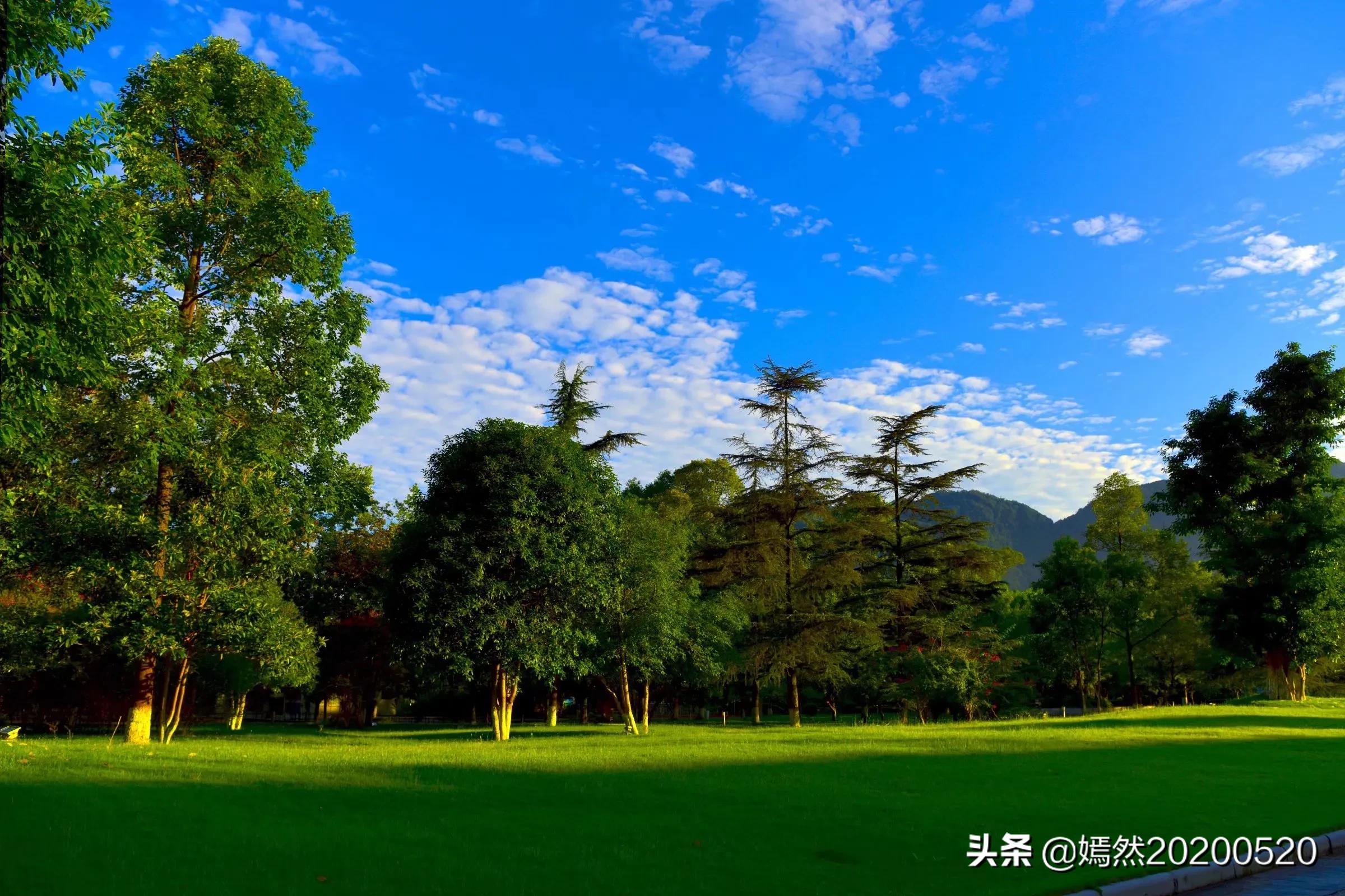 相机af（相机中的AF是什么意思？）