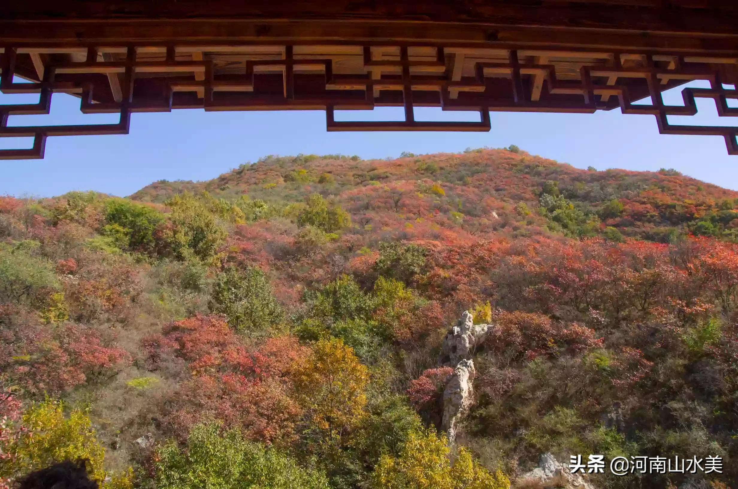 河南赏红叶十大绝佳去处？