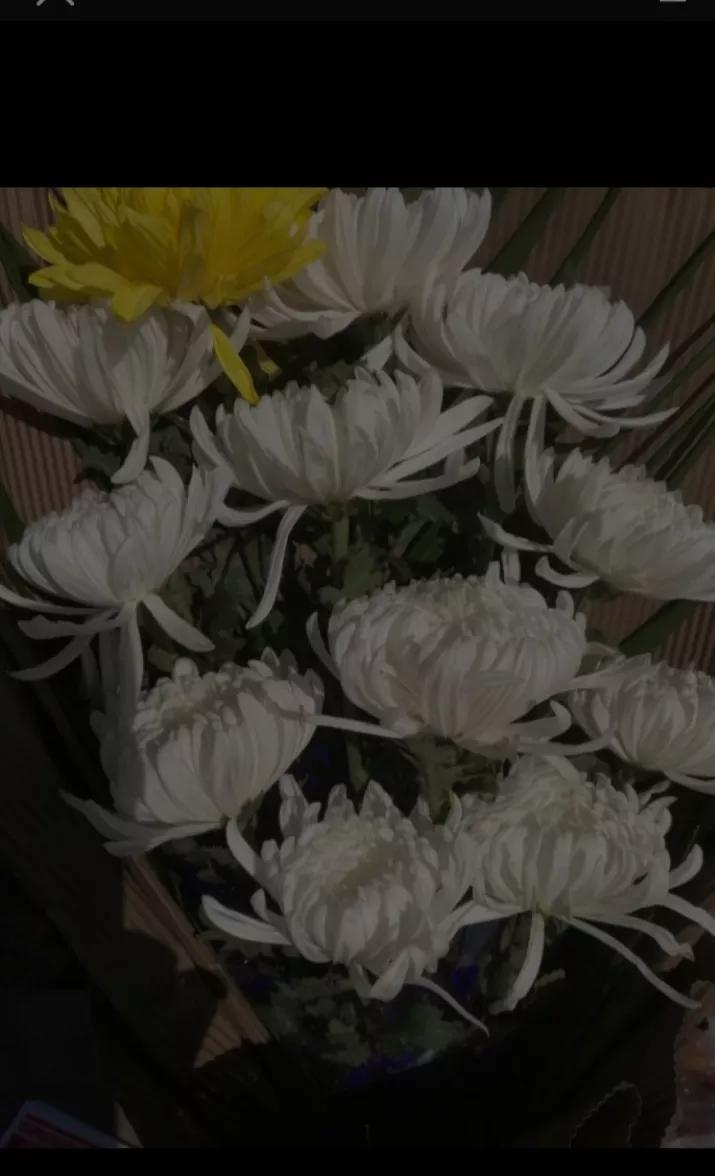 相片处理相片处理免费软件