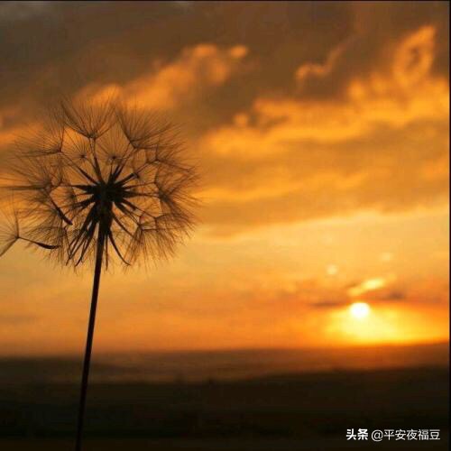 南宁市今日头条怎么赚钱