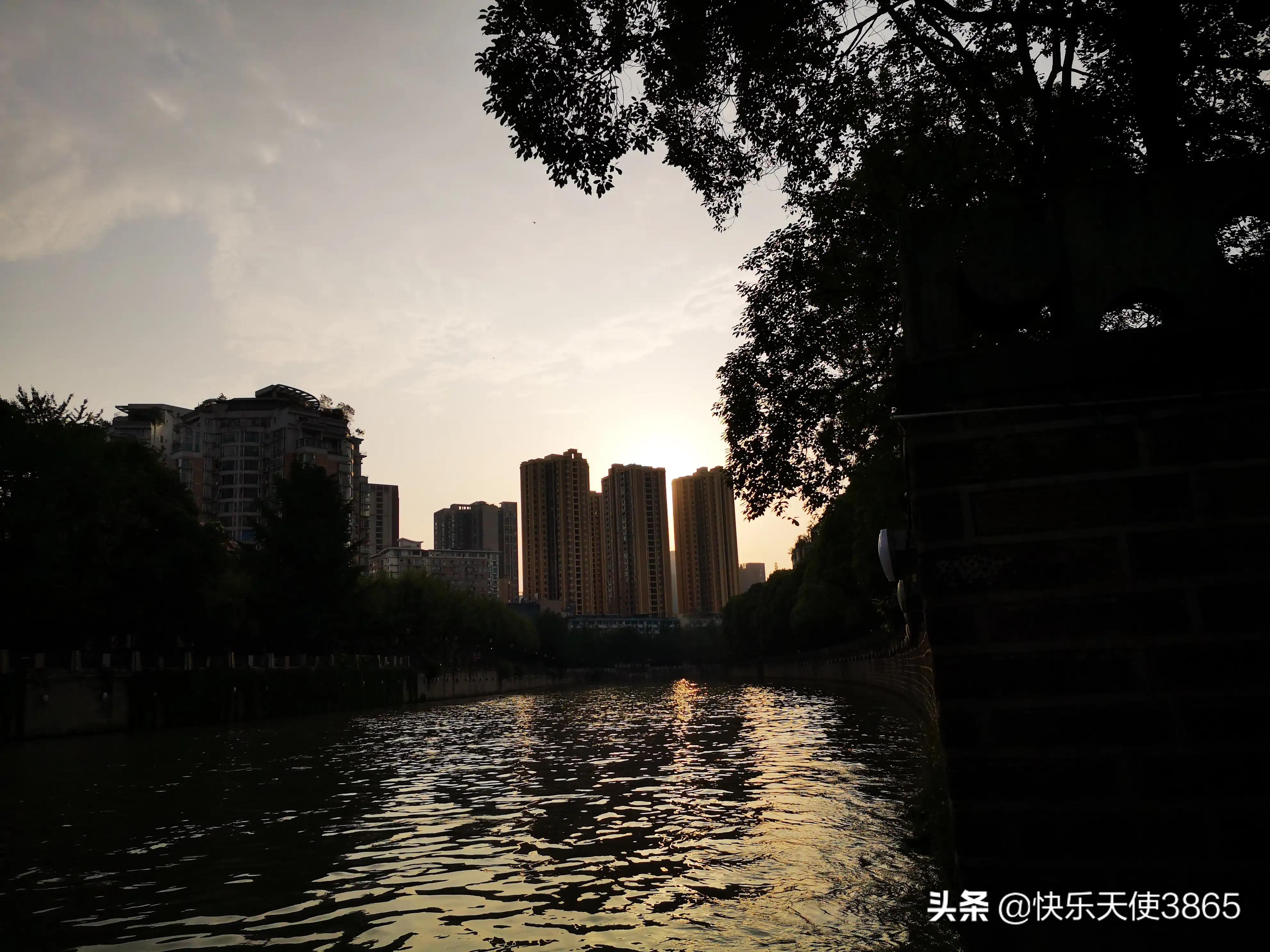 海外生活真实经历，海外生活真实经历视频