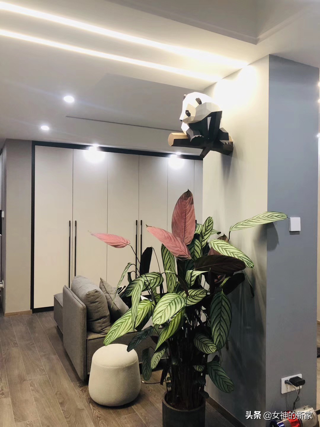 整体感整体感知是什么意思? 整体感整体感知是什么意思?