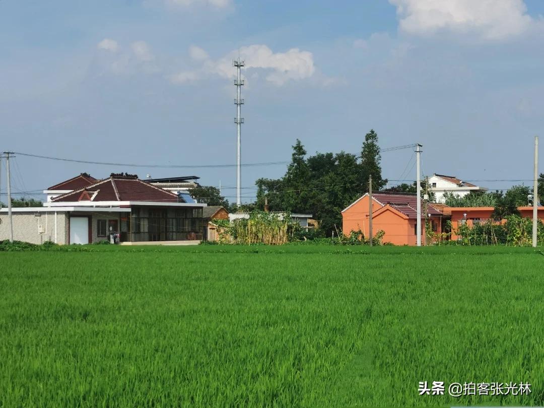 夏天的图片夏天的图片大自然风景 夏天的图片夏天的图片大自然风景