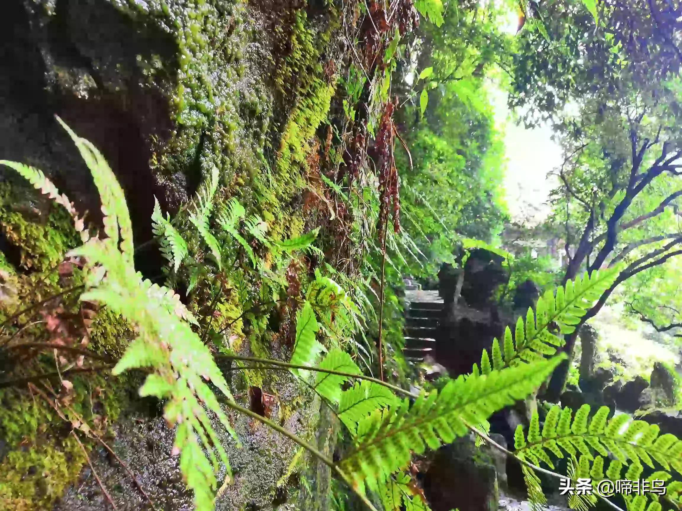 杭州市区有什么好玩的？