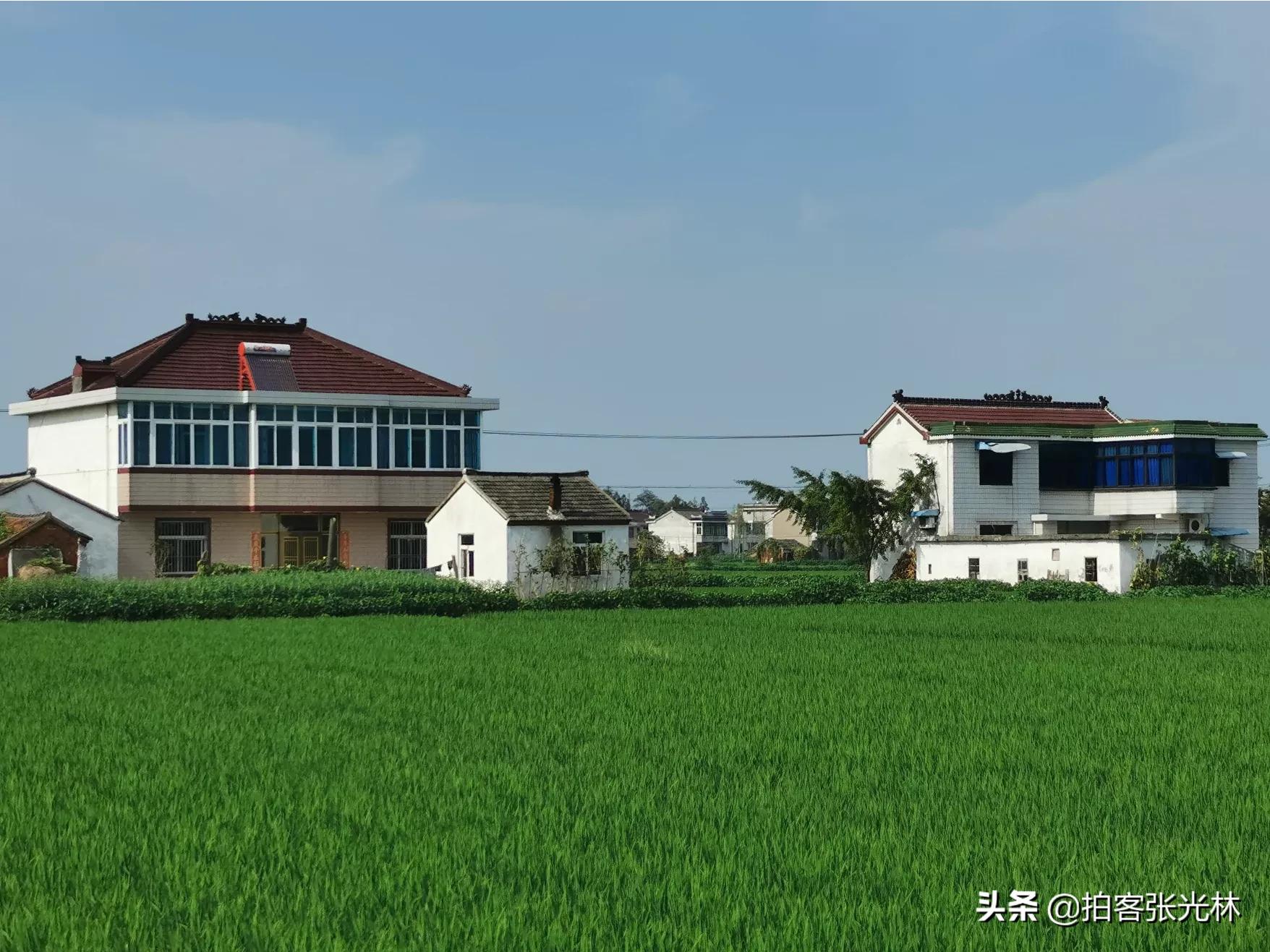 夏天的图片夏天的图片大自然风景