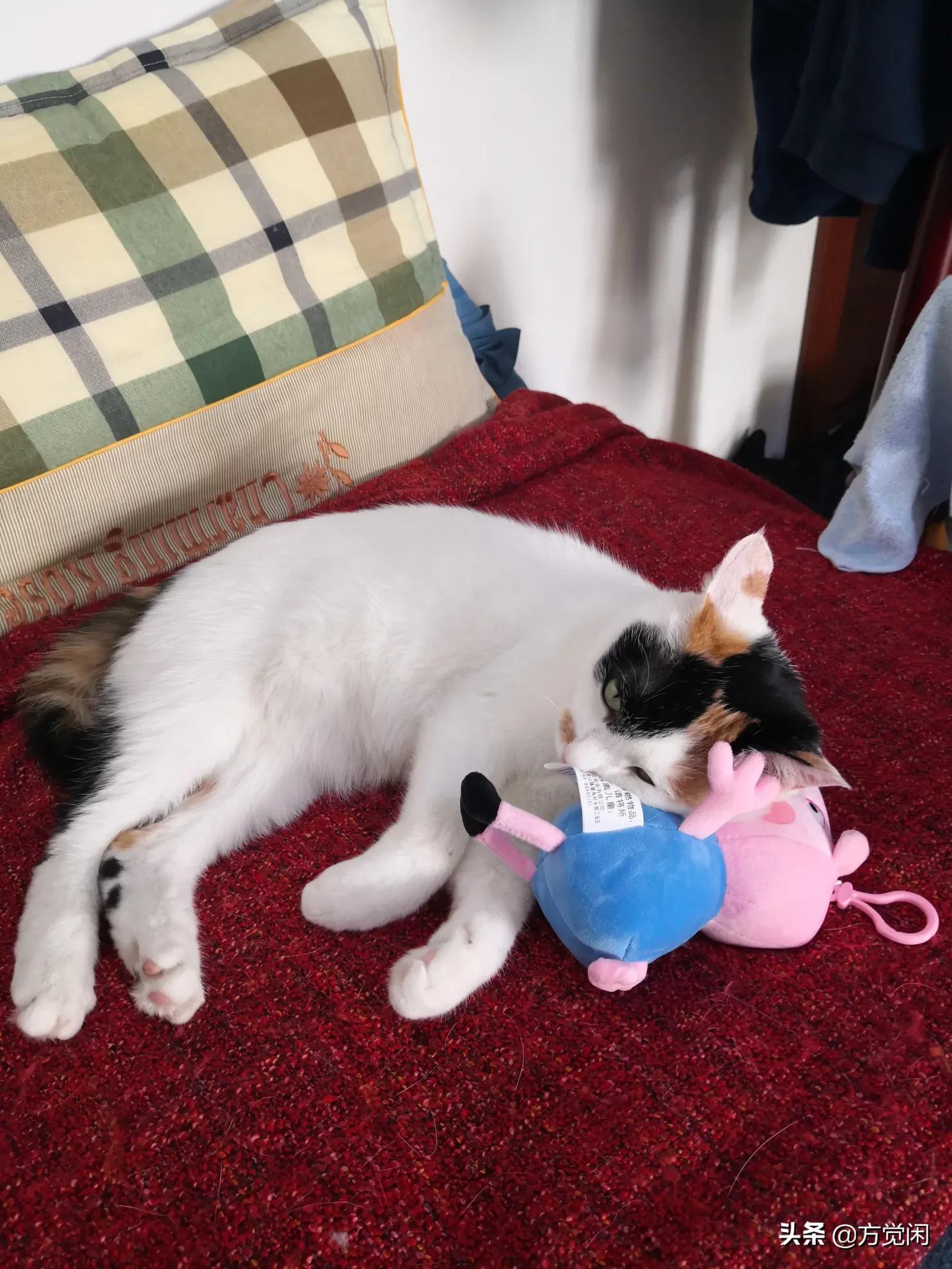 手机消毒器手机消毒器真的有用吗