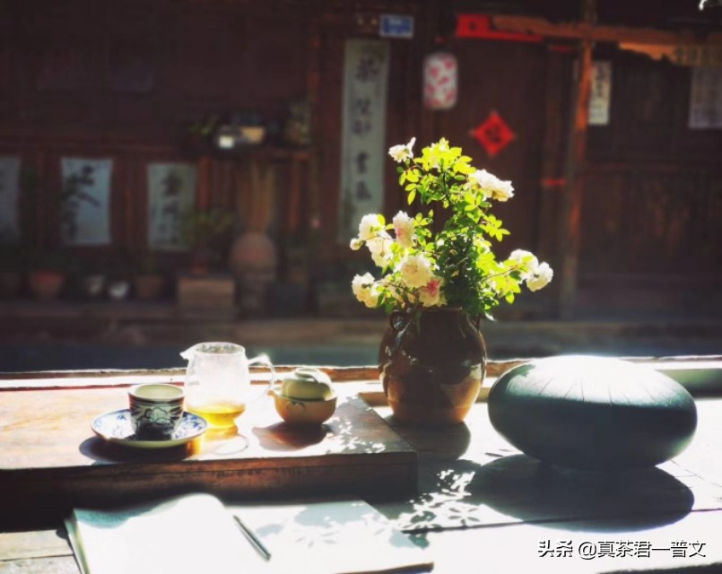 天天好习惯动画片，天天好生活最新一集