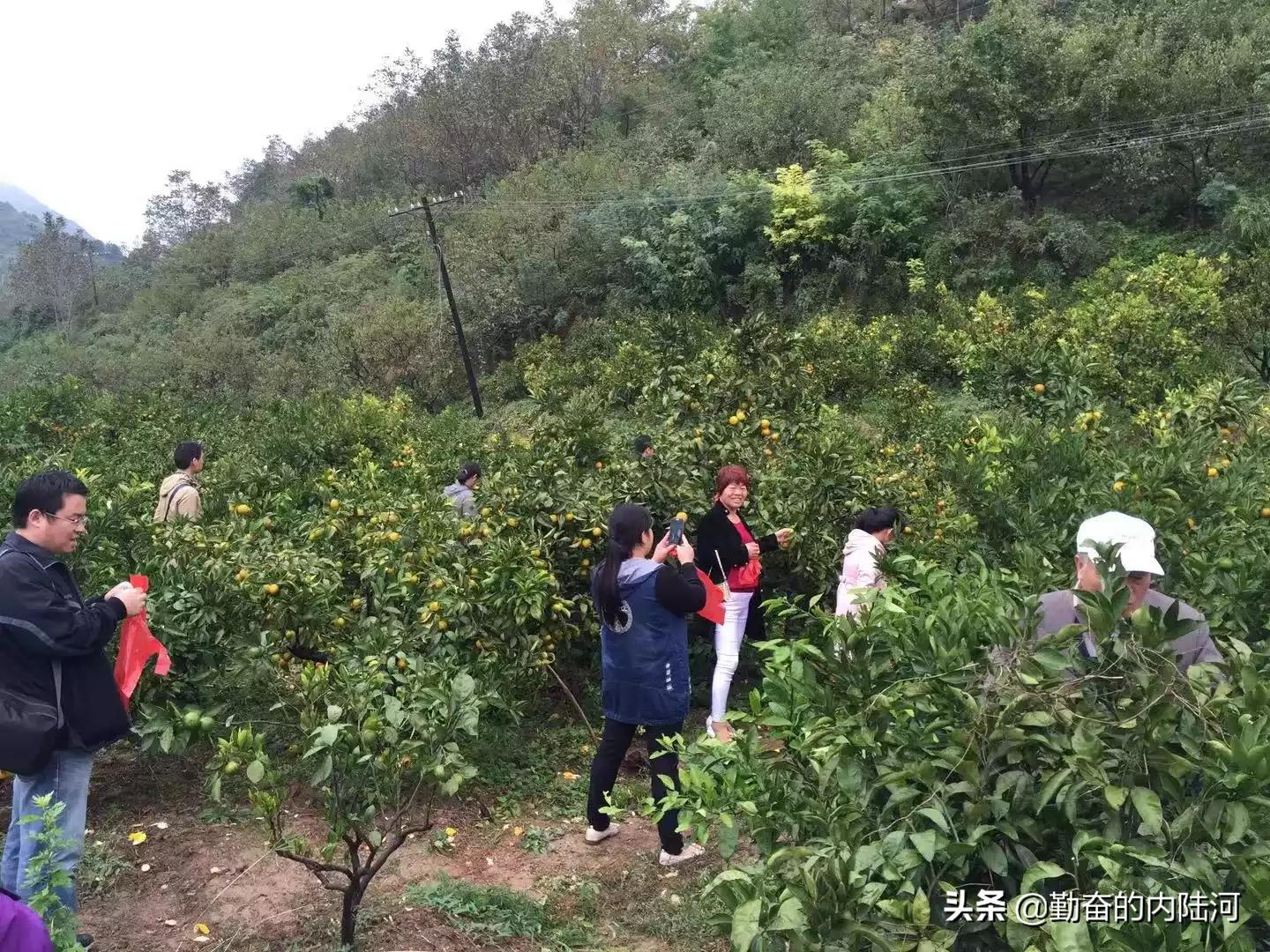 新手上三环，可不可以一直走辅导，开慢点？另外还应注意什么问题？