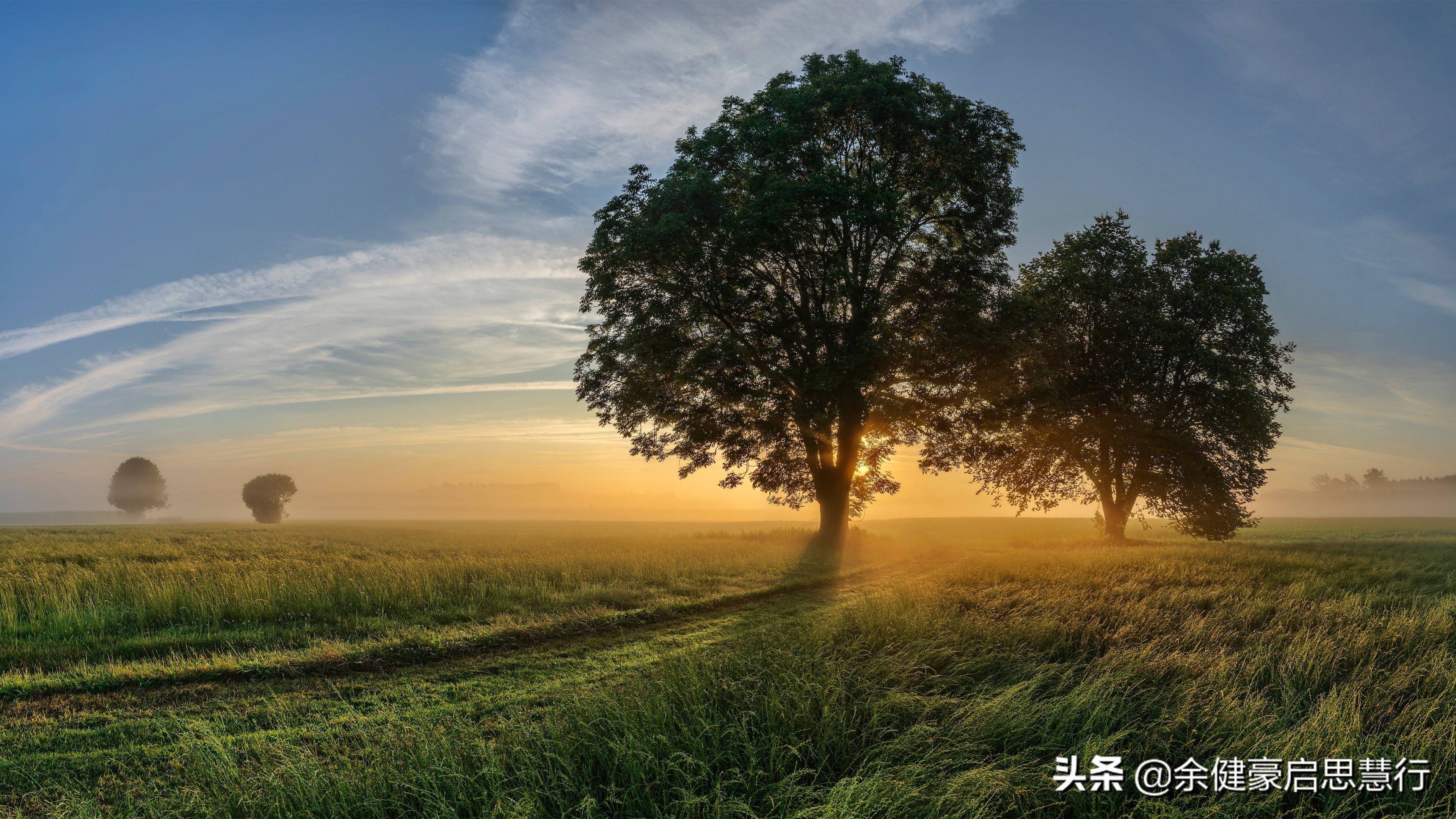 爱爱福利窝窝影院在线观看电视剧