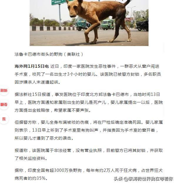[一女童被大型犬咬伤]重庆一小区大型犬咬伤多人，狗主称狗是捡来的，不赔医你怎么看？