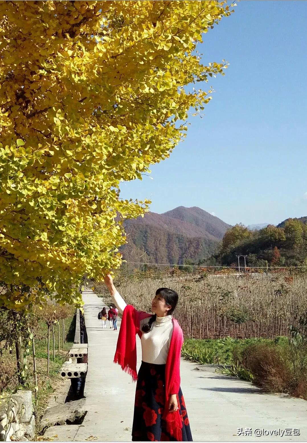 披肩围巾的最佳尺寸？：披肩围巾