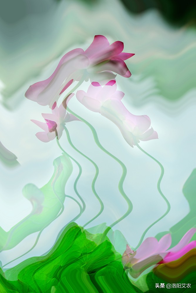 尼康d850（尼康d850深度评测？）