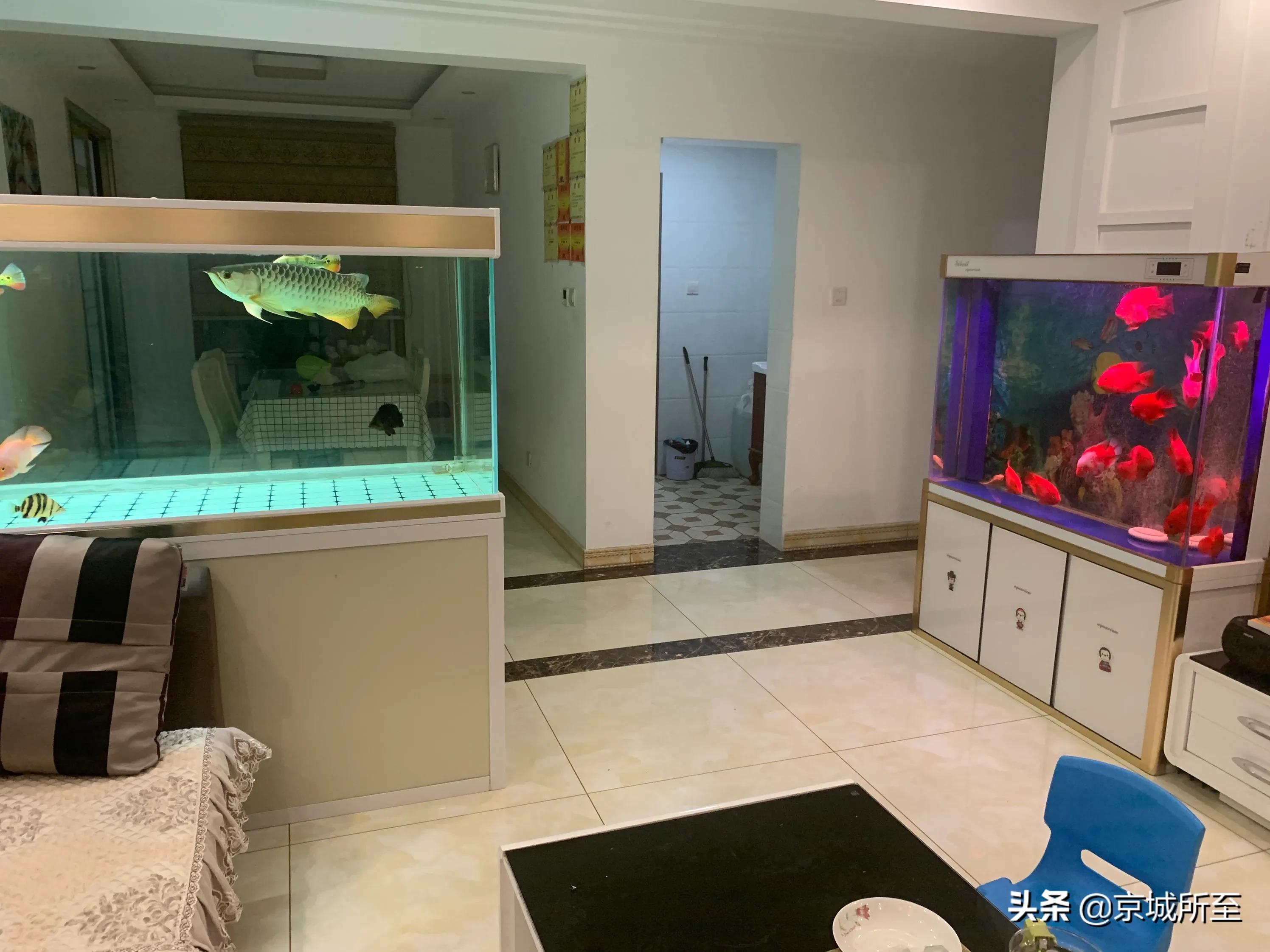 化妆刷自由选购技巧

