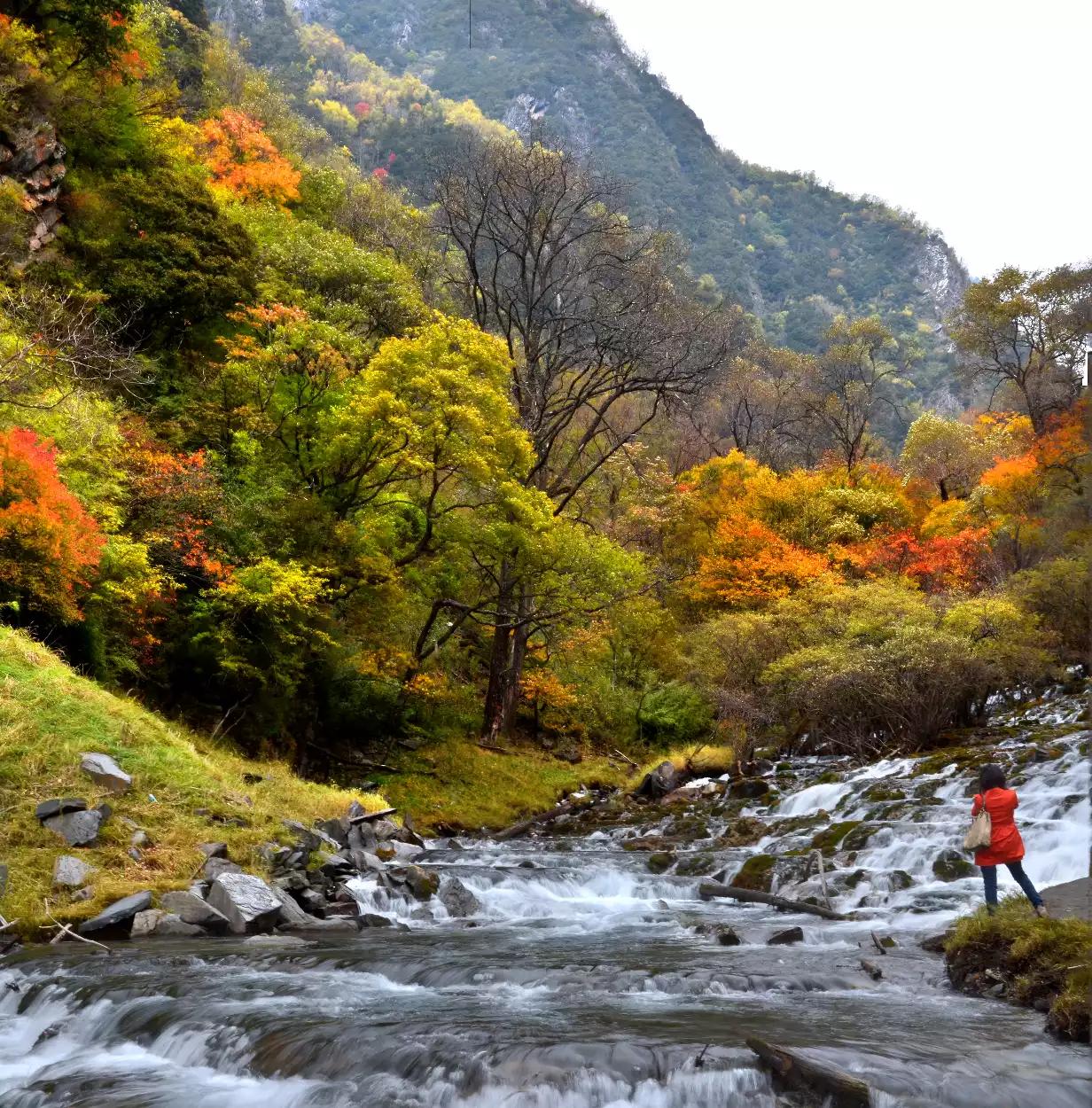[秋天有什么]秋天的事物都有哪些？
