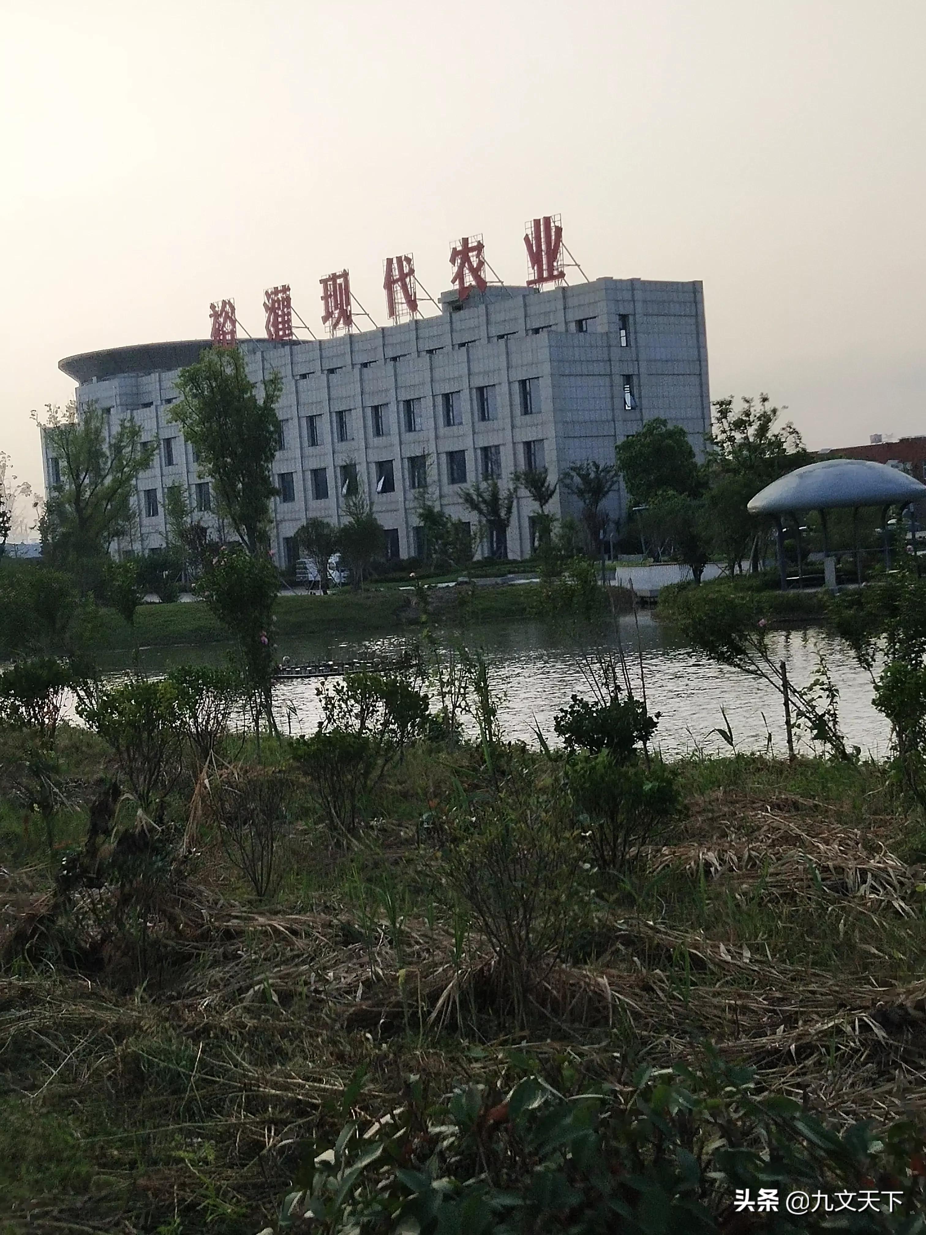 深圳一个公司领导拉帮结伙，全部安排自己老乡做下属，你怎么看？