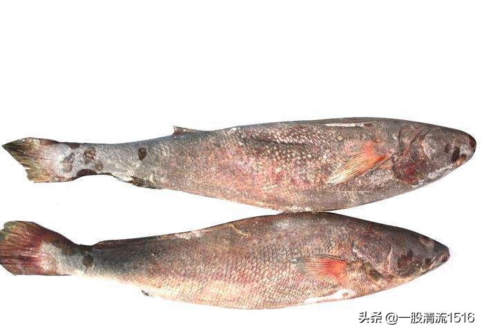 无锡市咸鱼咖啡店在哪里