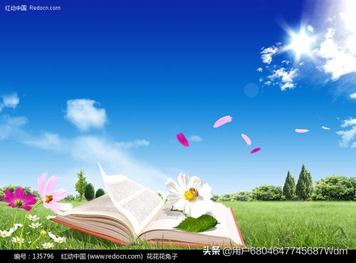 手机上搭建网站的软件