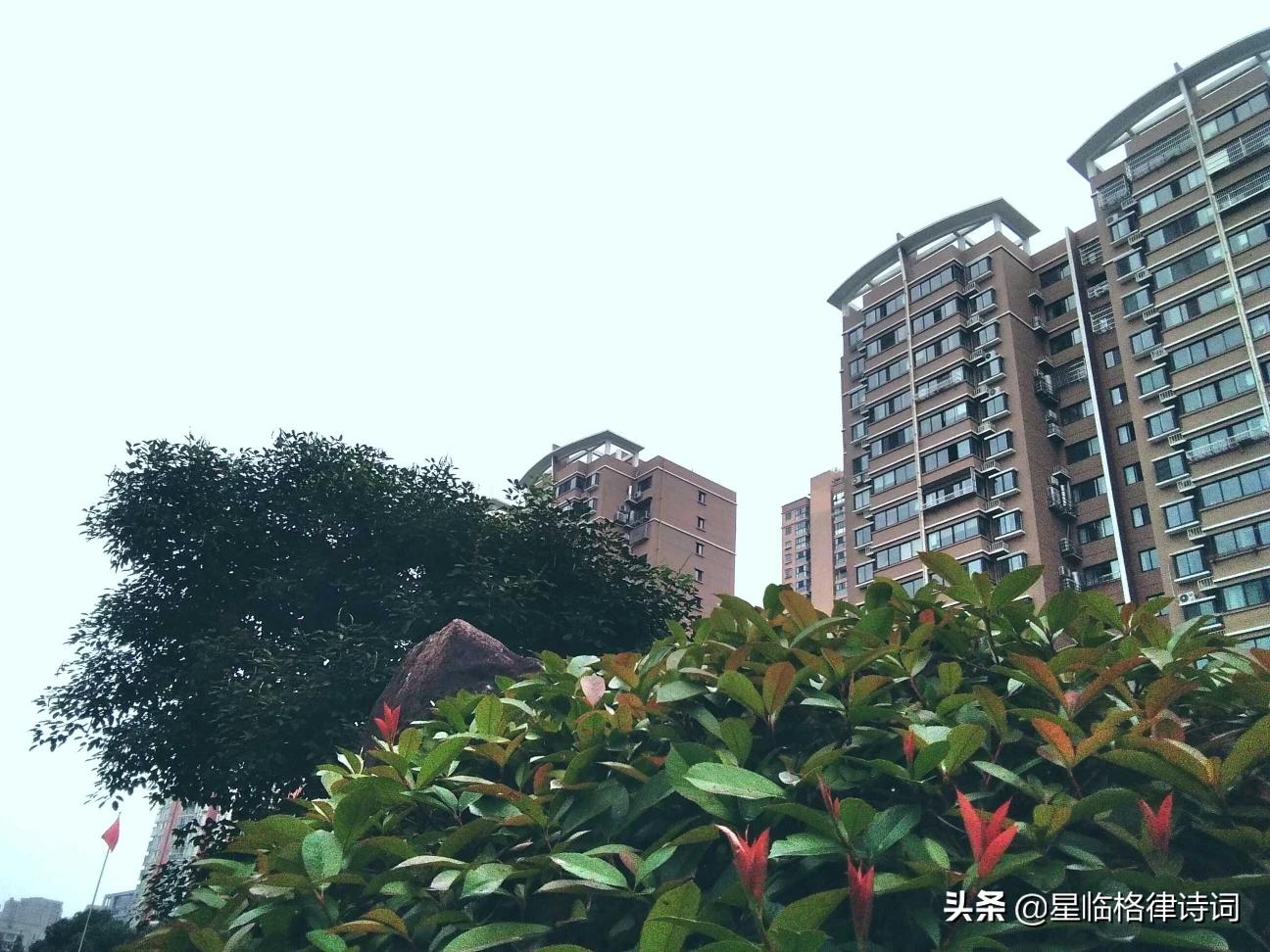 杭州老汉打赏女主播，老伴动怒：你这是精神出轨, 你怎么看？